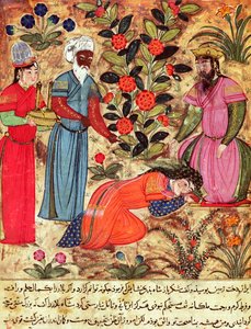 Fol.101 Une femme suppliant le sultan, du 